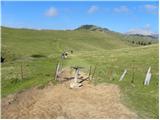 Za Ušivcem - Gradišče (Velika planina)